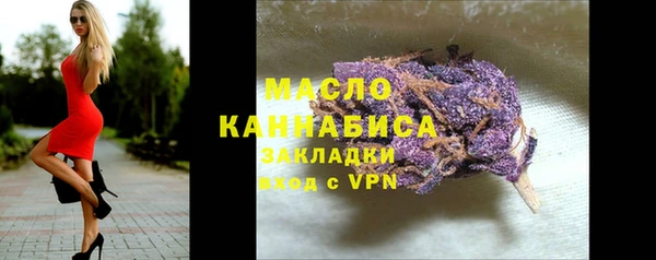 индика Верхний Тагил