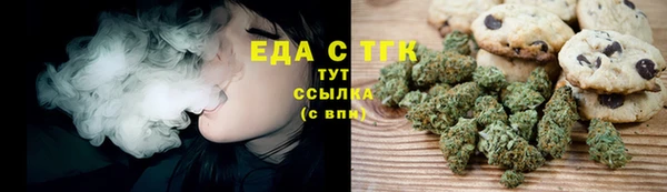 индика Верхний Тагил