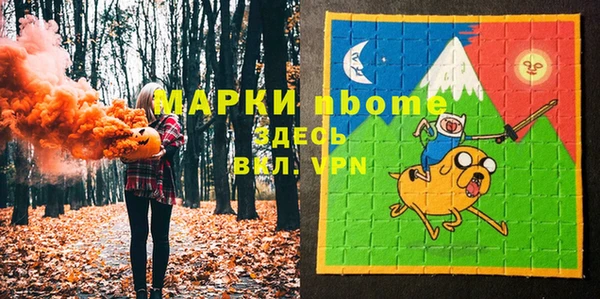 индика Верхний Тагил