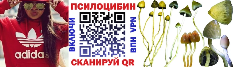 omg как войти  Нижнекамск  Галлюциногенные грибы Psilocybine cubensis  купить  